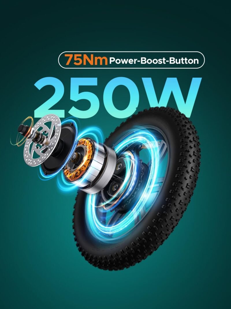 ENGWE L20 BOOST 20″ / 508 mm Fat-Tyre E-Bike – 250 W Motor, 48 V 13 Ah Battery, 75 Nm Torque, 150 km / 93 mi Range - Image 7