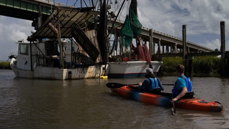Wilderness Systems Pamlico 135 | Sit Inside Recreational Kayak - Image 5